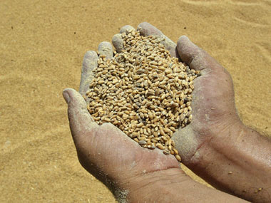 India's stern message to WTO: No TFA without solving food security issue India's stern message to WTO: No TFA without solving food security issue