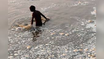 Water burial: 50 bodies recovered from Ganga, sanitation workers refuse to take them out