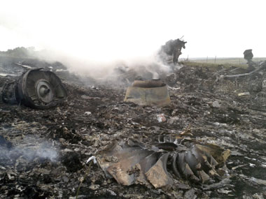 Investigator in missing MH370 case to examine MH17 crash site Investigator in missing MH370 case to examine MH17 crash site