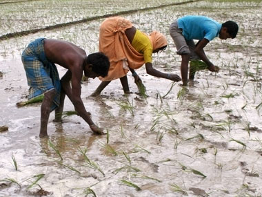 Deficit monsoon a cause of worry for farmers in Goa – Firstpost