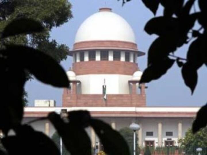 AI-IA merger: SC agrees to examine lingering issues AI-IA merger: SC agrees to examine lingering issues