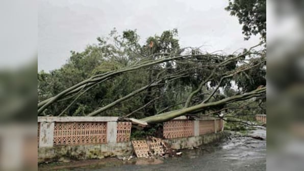 Mumbai wall collapse: Two killed, one severely injured 