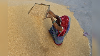 Economic Survey: Cut fertiliser subsidy, restore farmers' pricing freedom to clip inflation
