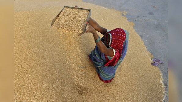 Economic Survey: Cut fertiliser subsidy, restore farmers' pricing freedom to clip inflation