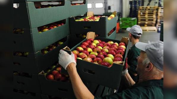 Russia bans Western food imports in Ukraine sanctions retaliation