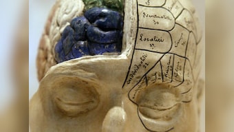 New study suggests that autism can be effectively treated