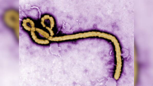 Liberia, S. Leone race to enforce Ebola quarantine as outbreak spreads