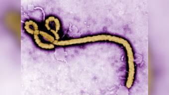 India on high alert for Ebola, Health minister denies Chennai case