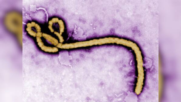 India on high alert for Ebola, Health minister denies Chennai case