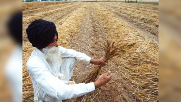 Why we should be in no rush for GM seeds: there is simply too much at stake