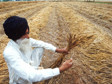 Why we should be in no rush for GM seeds: there is simply too much at stake Why we should be in no rush for GM seeds: there is simply too much at stake