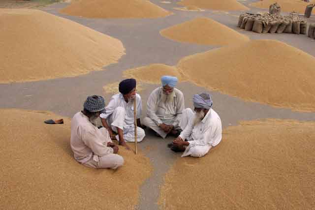 Govt hopes to cut subsidy bill by Rs 23,400 cr; sets up high-level panel for FCI revamp Govt hopes to cut subsidy bill by Rs 23,400 cr; sets up high-level panel for FCI revamp