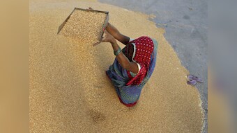 World Food Day Quiz: Do you know what issues affect food production and consumption globally?