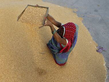 World Food Day Quiz: Do you know what issues affect food production and consumption globally?