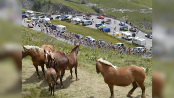 Horses talk to each other using facial expressions, says new study