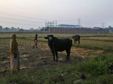 The broken down walls and steel skeleton of what was to be an asbestos manufacturing plant remains next to the farmlands of Vaishali village in Bihar. AP 
