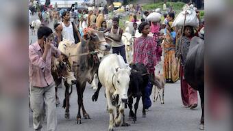 Kosi flood: Bihar govt stops evacuations as threat abates