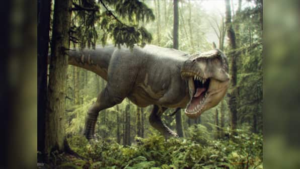 Smaller is better: How the T-rex evolved into Tweety