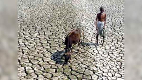 How the political class of Telangana is only worsening its dying farmers' plight