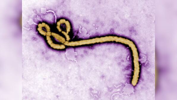 Man suspected of suffering from deadly Ebola isolated in Uganda
