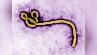 Liberian doctor given experimental Ebola drug ZMapp dies