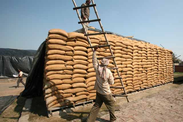 How to turn FCI from food hoarder to food manager - and save tonnes of money How to turn FCI from food hoarder to food manager - and save tonnes of money