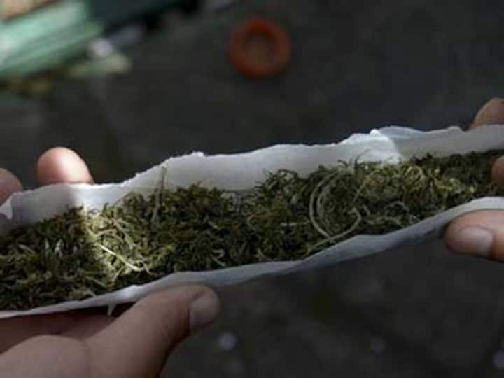 Couples who smoke marijuana together are happier, less likely to be violent