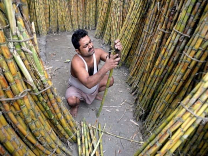 Sugar output rises 15% but cane arrears at an alarming Rs 12,300 cr