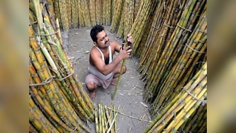 CCEA approves export subsidy on raw sugar for up to 1.4 million tonnes