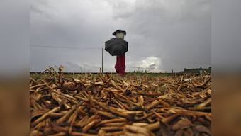 With capital tag, Vijayawada set to regain pre-eminence again