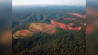 Amazon deforestation up 29% in 2013: Brazil