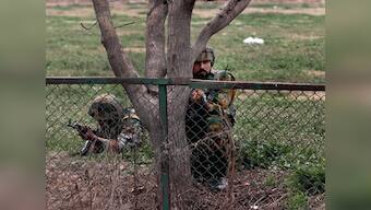 Govt to train dogs to help CRPF fight Naxals