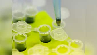 World experts to meet to fast-track experimental Ebola drugs