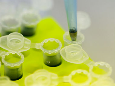 World experts to meet to fast-track experimental Ebola drugs World experts to meet to fast-track experimental Ebola drugs