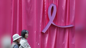 No link between wearing bra and breast cancer: Study