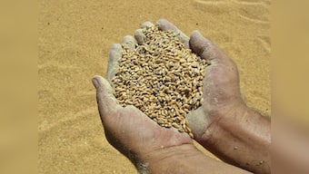 Global food prices decline to four-year low, finds FAO