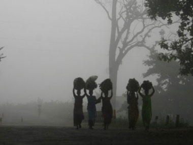 The Forest Rights Act needs to go: Tribals aren't part of a tiger reserve The Forest Rights Act needs to go: Tribals aren't part of a tiger reserve