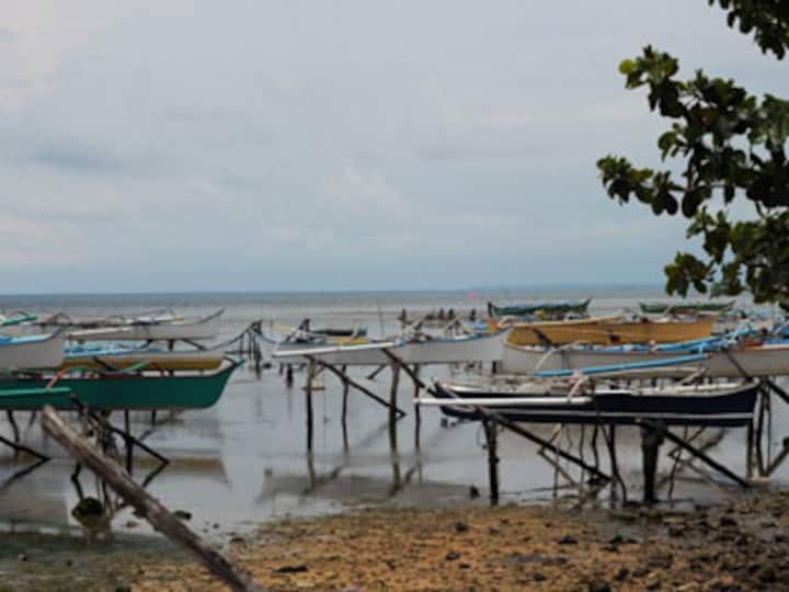 Indonesia: 6.5-magnitude quake strikes off Sulawesi
