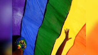 India abstains from voting on UN resolution to appoint LGBT rights expert