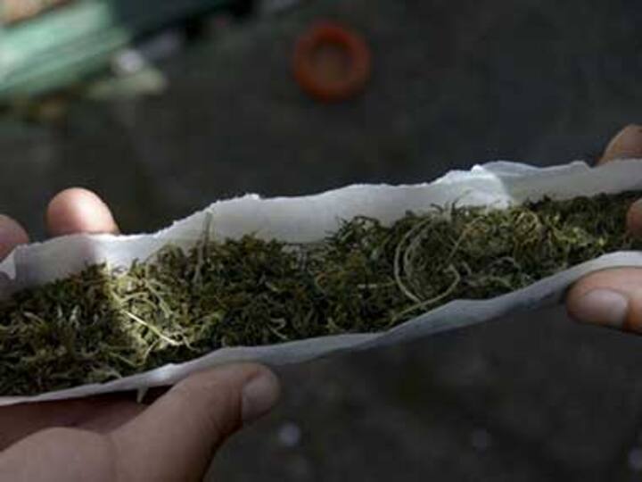 E-cigarettes not safe, promote use and addiction of marijuana, cocaine: study E-cigarettes not safe, promote use and addiction of marijuana, cocaine: study