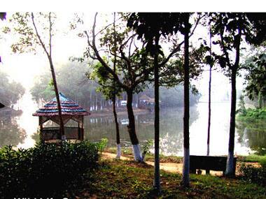 Tripura govt clears proposal to denotify land in wildlife sanctuary