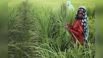 Developing countries blast rich-world farm subsidies at Rome talks