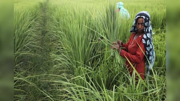 Developing countries blast rich-world farm subsidies at Rome talks