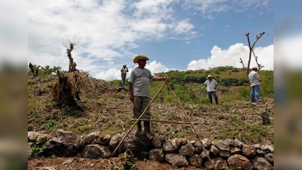 Drought threatens more than 500,000 in Honduras - Red Cross