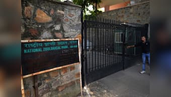 Bihar man jumps into lion enclosure at Delhi zoo, escapes unhurt due to alert staff; mentally unstable, say cops