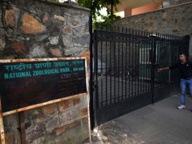 Bihar man jumps into lion enclosure at Delhi zoo, escapes unhurt due to alert staff; mentally unstable, say cops Bihar man jumps into lion enclosure at Delhi zoo, escapes unhurt due to alert staff; mentally unstable, say cops