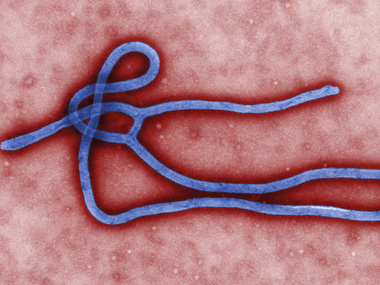 Death rate in Ebola outbreak has risen to 70 percent: WHO Death rate in Ebola outbreak has risen to 70 percent: WHO