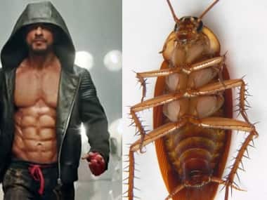 SRK and cockroach's thorax 