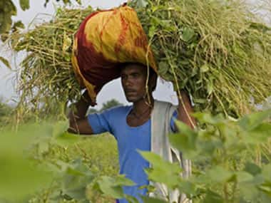 Farmer suicides have not gone up in Maharashtra. Agencies
