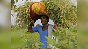 Farmer suicides haven't gone up in Maharashtra: Why is Modi tweaking data?